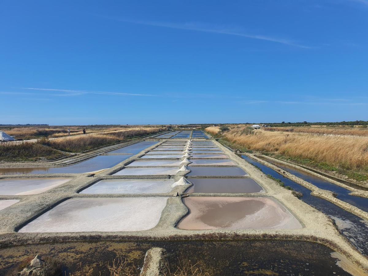 Cote Re Apartman Saint-Martin-de-Ré Kültér fotó